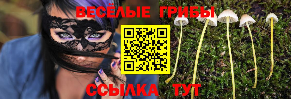 Псилоцибиновые грибы GOLDEN TEACHER Белая Калитва